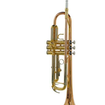 Stewart Ellis SE-1800-M trompet