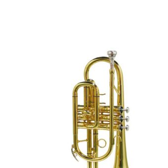 Stewart Ellis SE-1200-L cornet