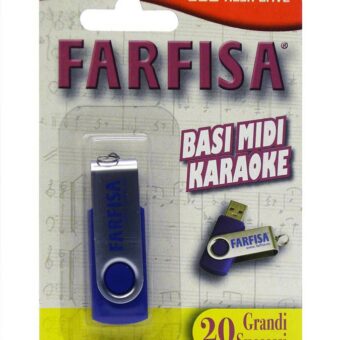Farfisa FM-20 USB flash memory stick met 20 karaoke hits in .KAR bestandsindeling