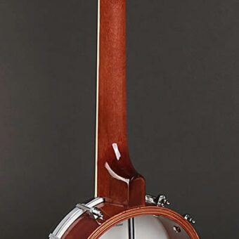 Richwood RMBU-404 ukelele banjo. open achterkant