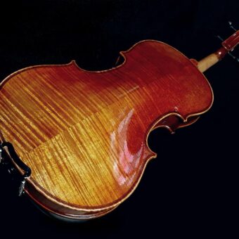 Rudolph RV-1534 viool 3/4